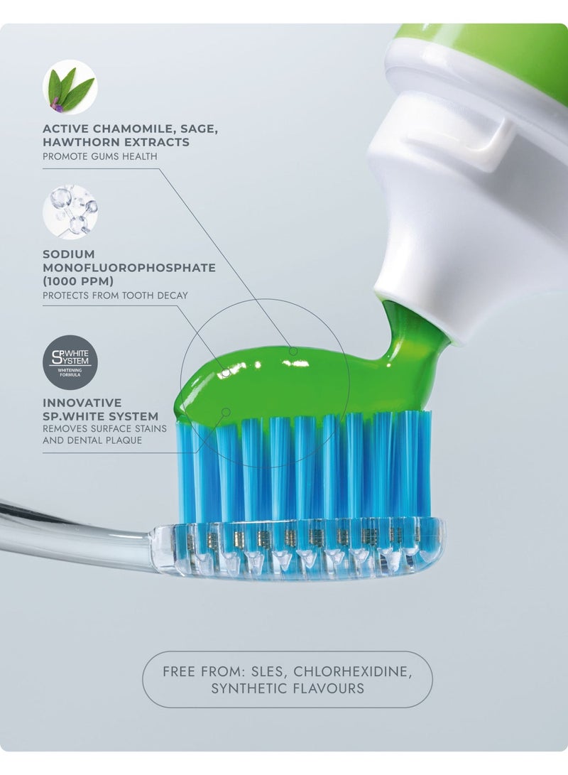 سبلات بروفيشنال ميديكال هيربس | جل معجون أسنان طبيعي | خبير العناية باللثة الحساسة ونفس منعش | البابونج وزيوت عطرية | عناية باللثة | يحتوي على الفلورايد | نباتي | 100 مل - Image 2